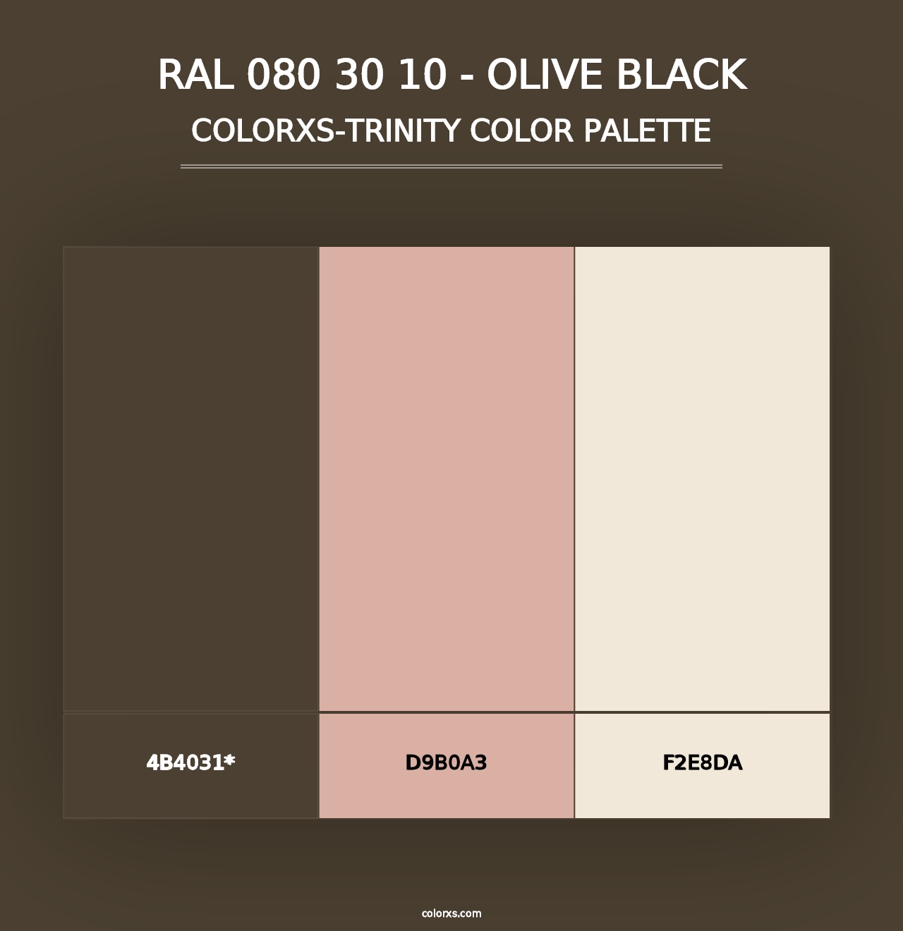 RAL 080 30 10 - Olive Black - Colorxs Trinity Palette