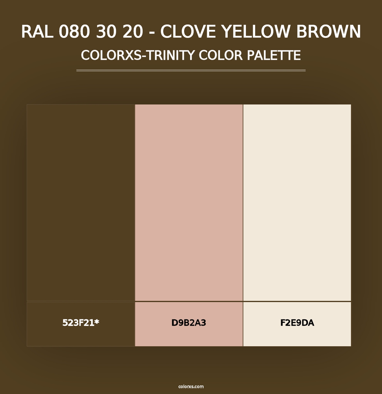 RAL 080 30 20 - Clove Yellow Brown - Colorxs Trinity Palette