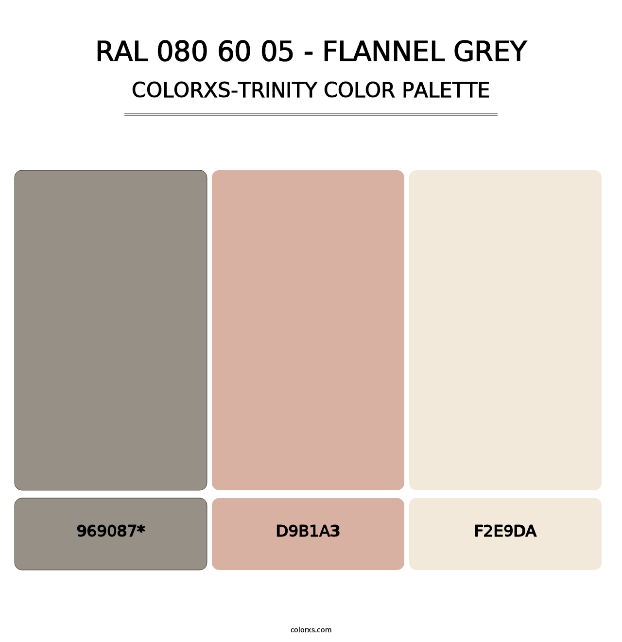 RAL 080 60 05 - Flannel Grey - Colorxs Trinity Palette