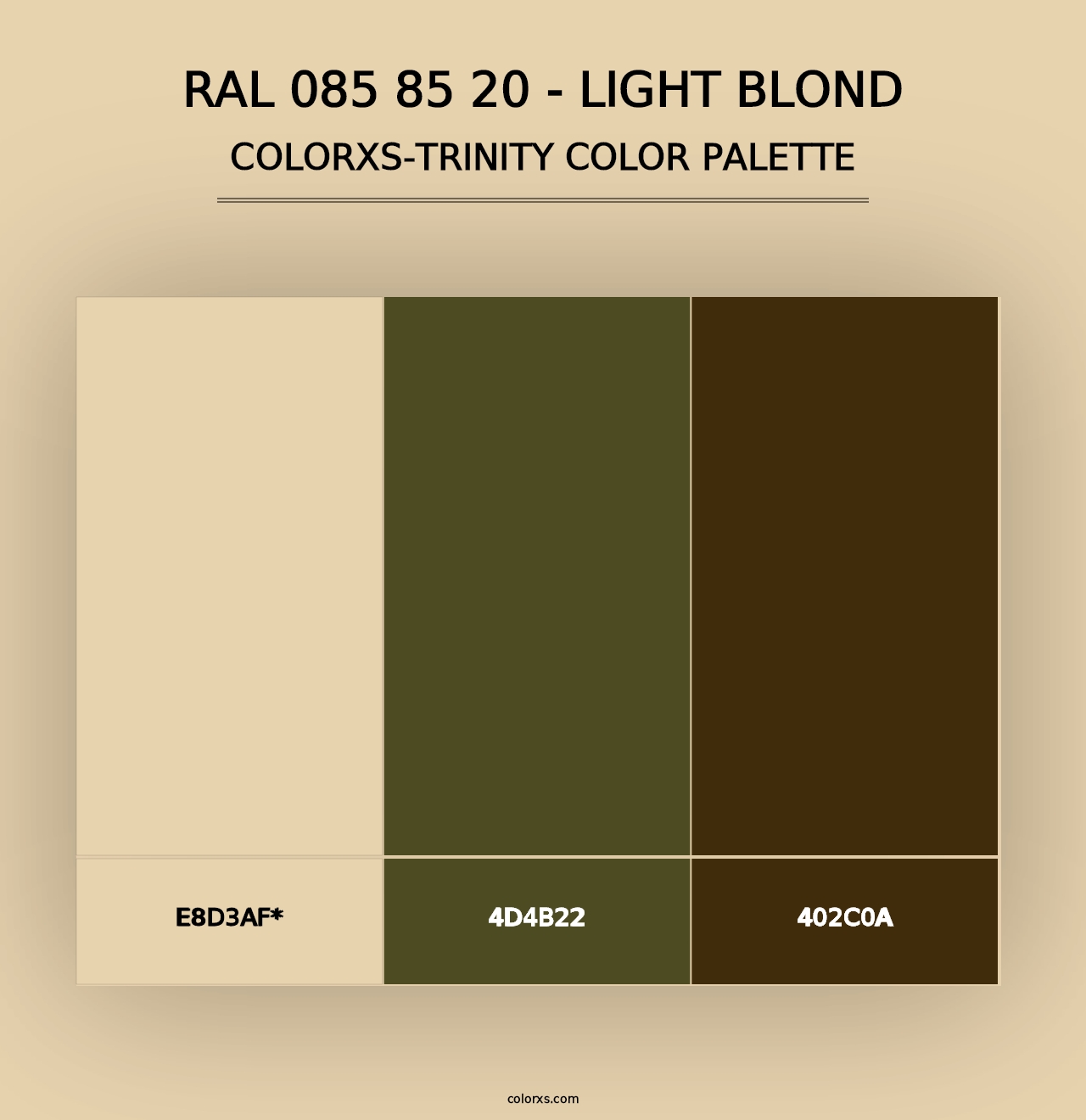 RAL 085 85 20 - Light Blond - Colorxs Trinity Palette