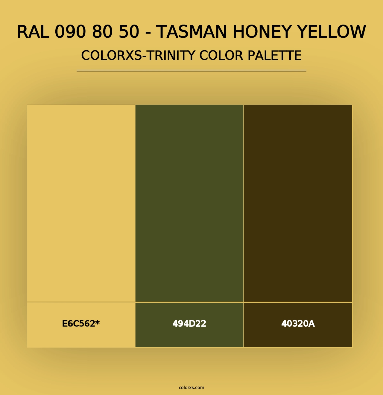 RAL 090 80 50 - Tasman Honey Yellow - Colorxs Trinity Palette