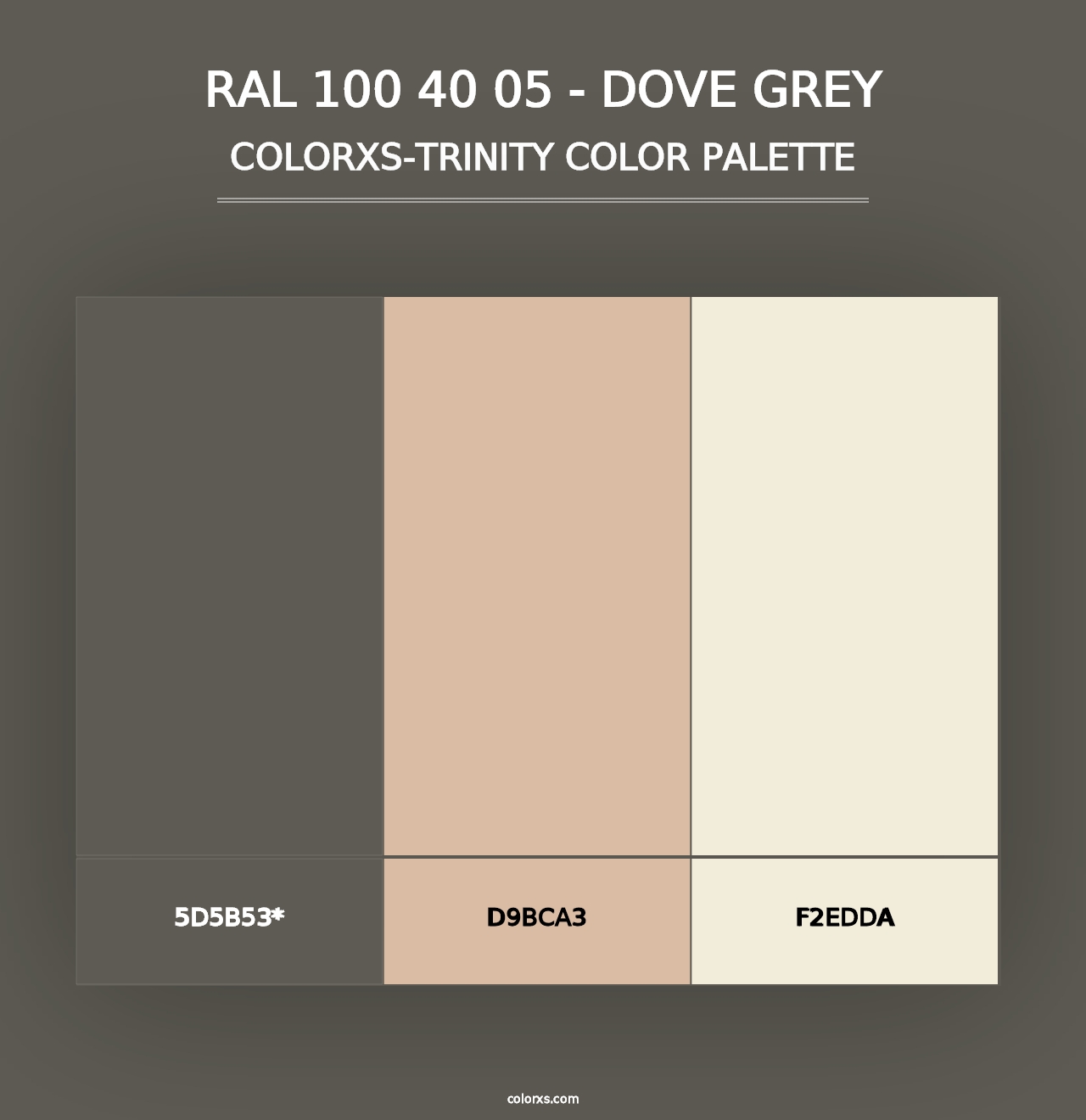 RAL 100 40 05 - Dove Grey - Colorxs Trinity Palette