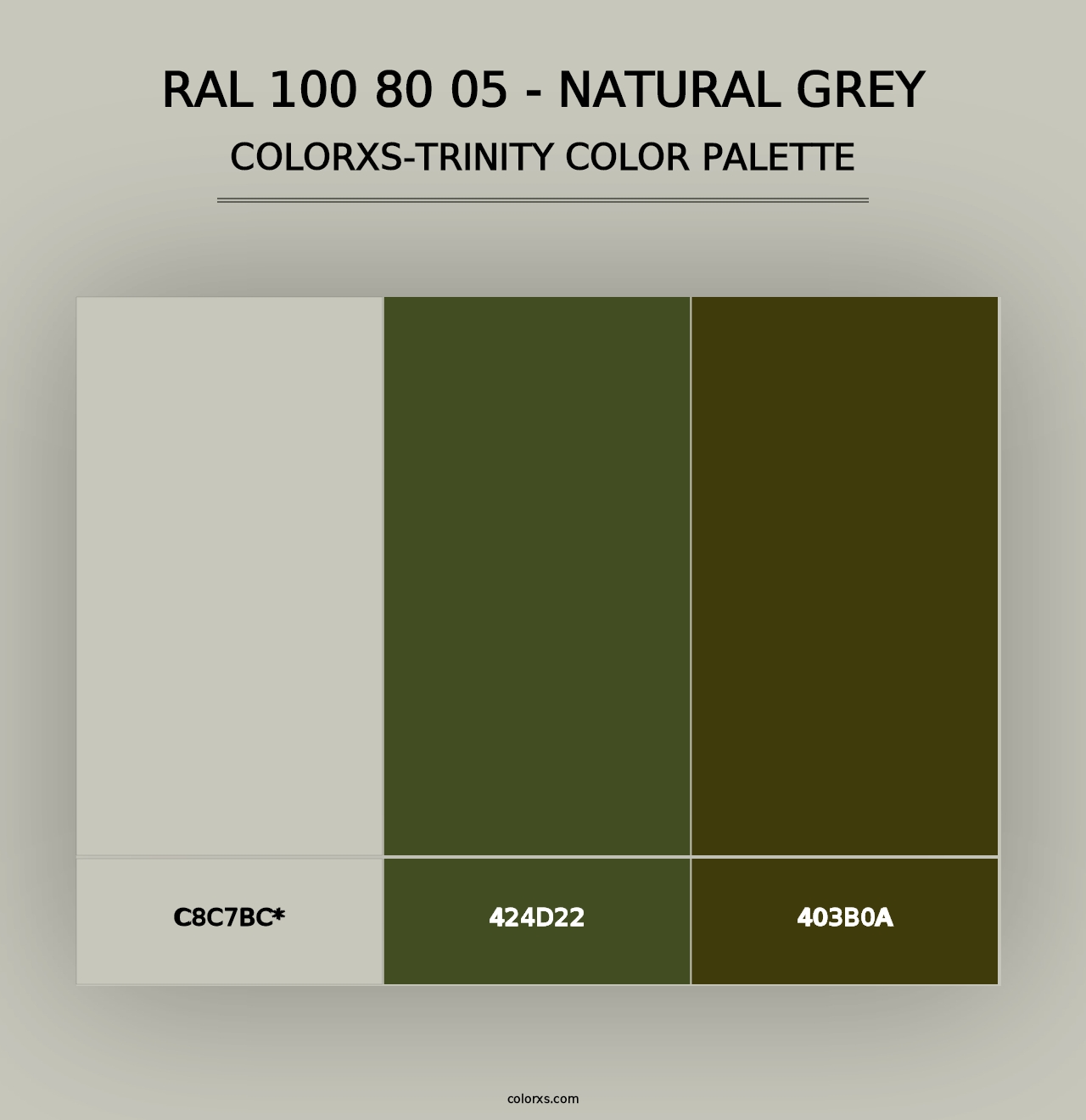 RAL 100 80 05 - Natural Grey - Colorxs Trinity Palette