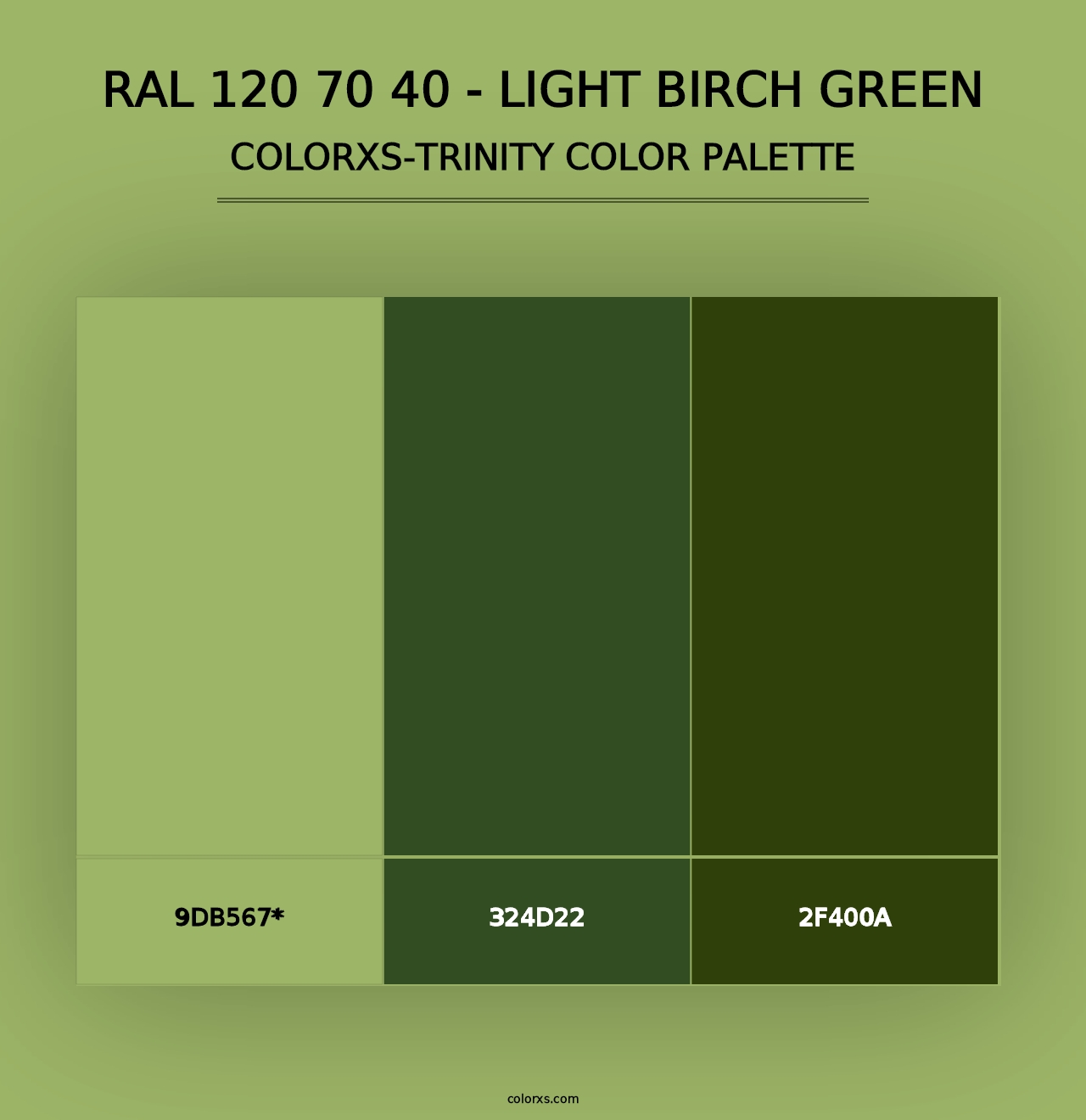 RAL 120 70 40 - Light Birch Green - Colorxs Trinity Palette