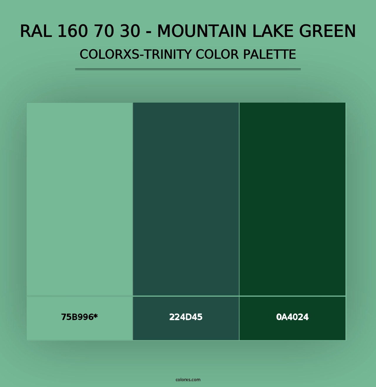 RAL 160 70 30 - Mountain Lake Green - Colorxs Trinity Palette