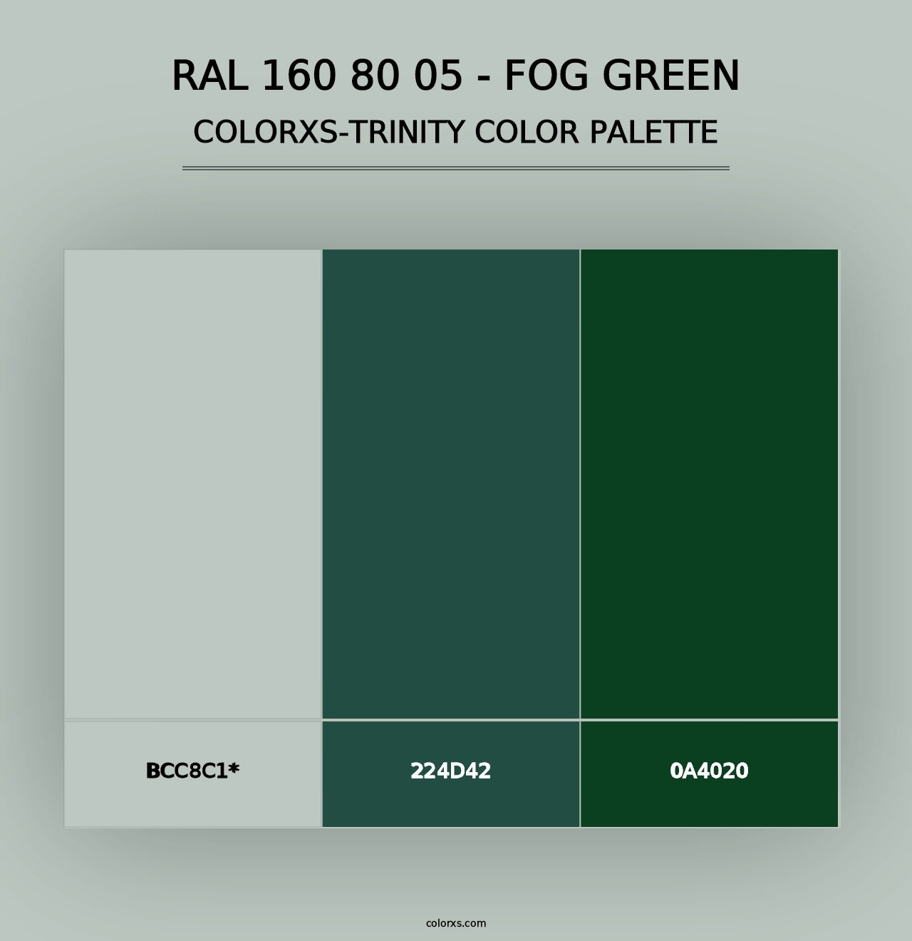 RAL 160 80 05 - Fog Green - Colorxs Trinity Palette