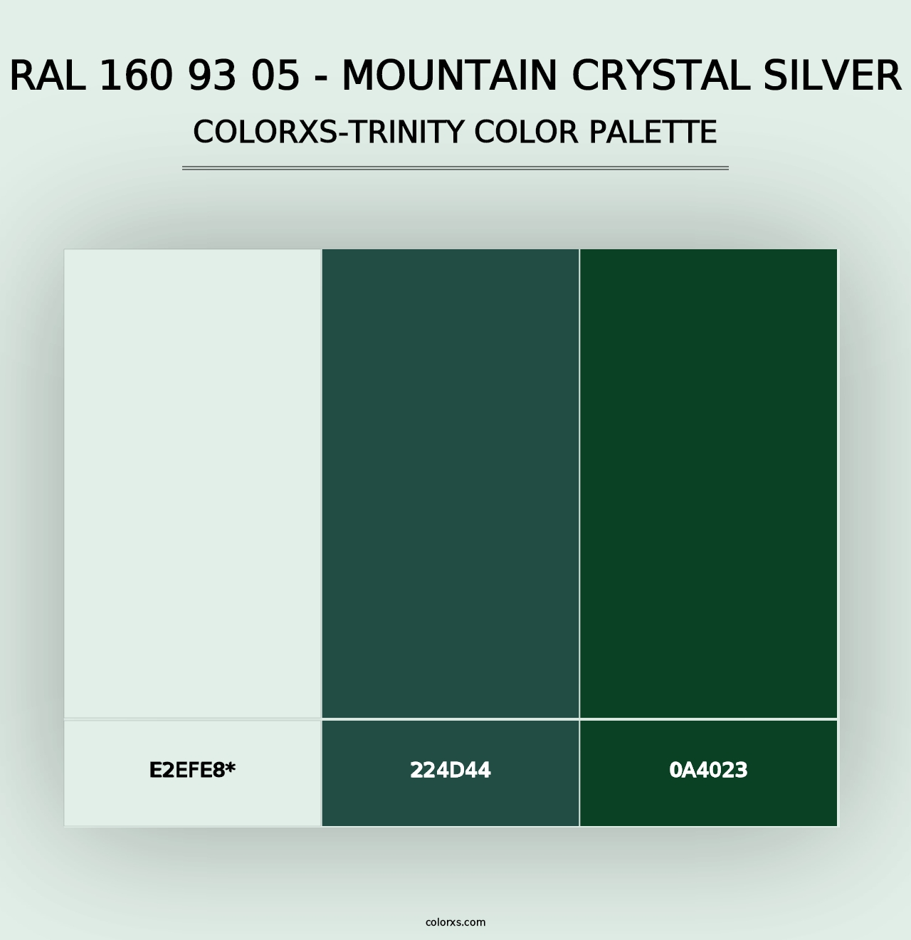 RAL 160 93 05 - Mountain Crystal Silver - Colorxs Trinity Palette