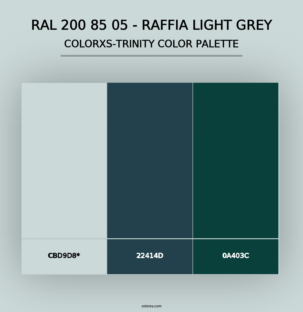 RAL 200 85 05 - Raffia Light Grey - Colorxs Trinity Palette