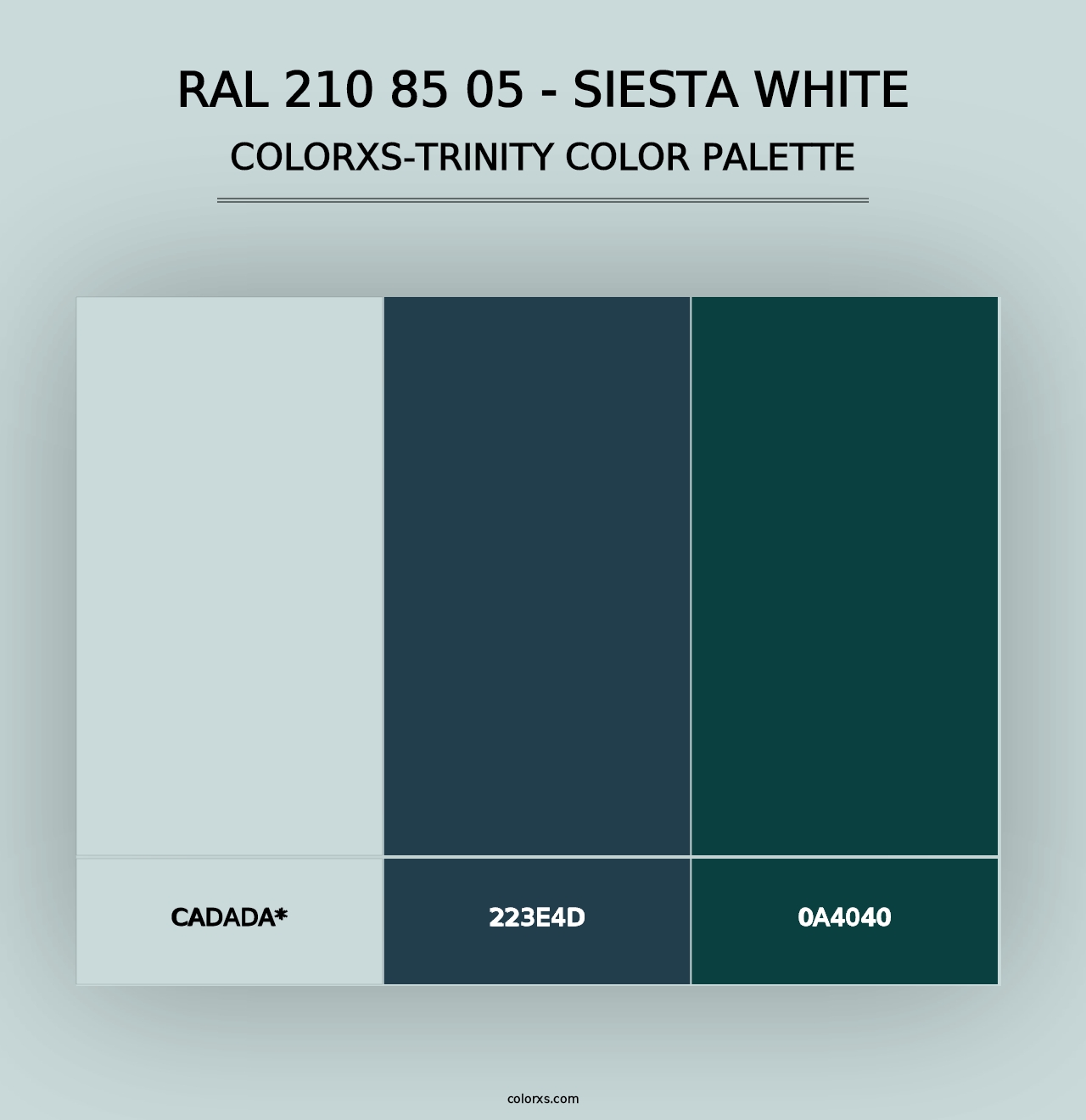 RAL 210 85 05 - Siesta White - Colorxs Trinity Palette