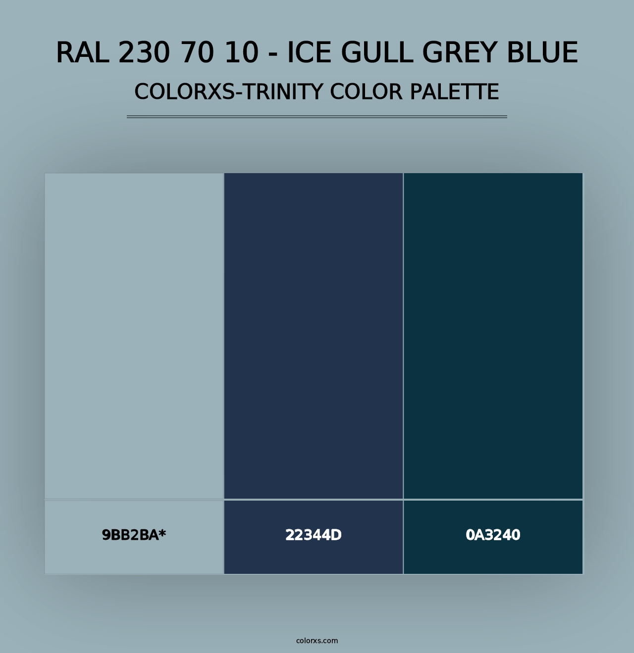 RAL 230 70 10 - Ice Gull Grey Blue - Colorxs Trinity Palette