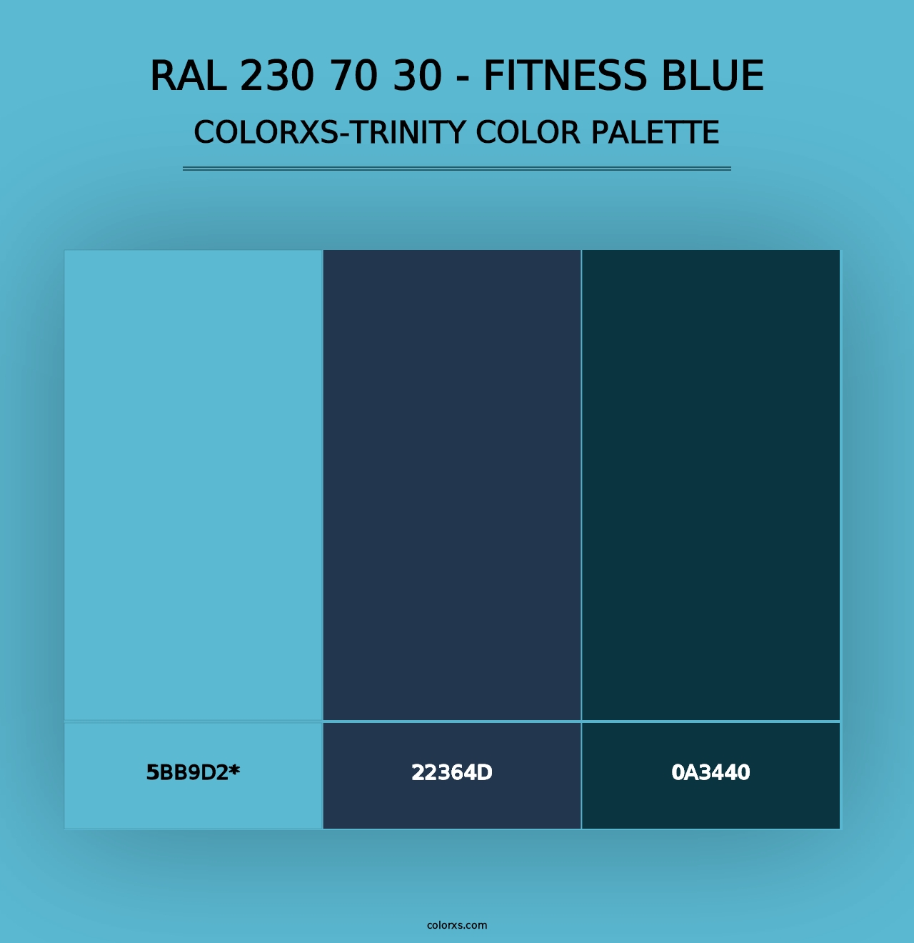 RAL 230 70 30 - Fitness Blue - Colorxs Trinity Palette