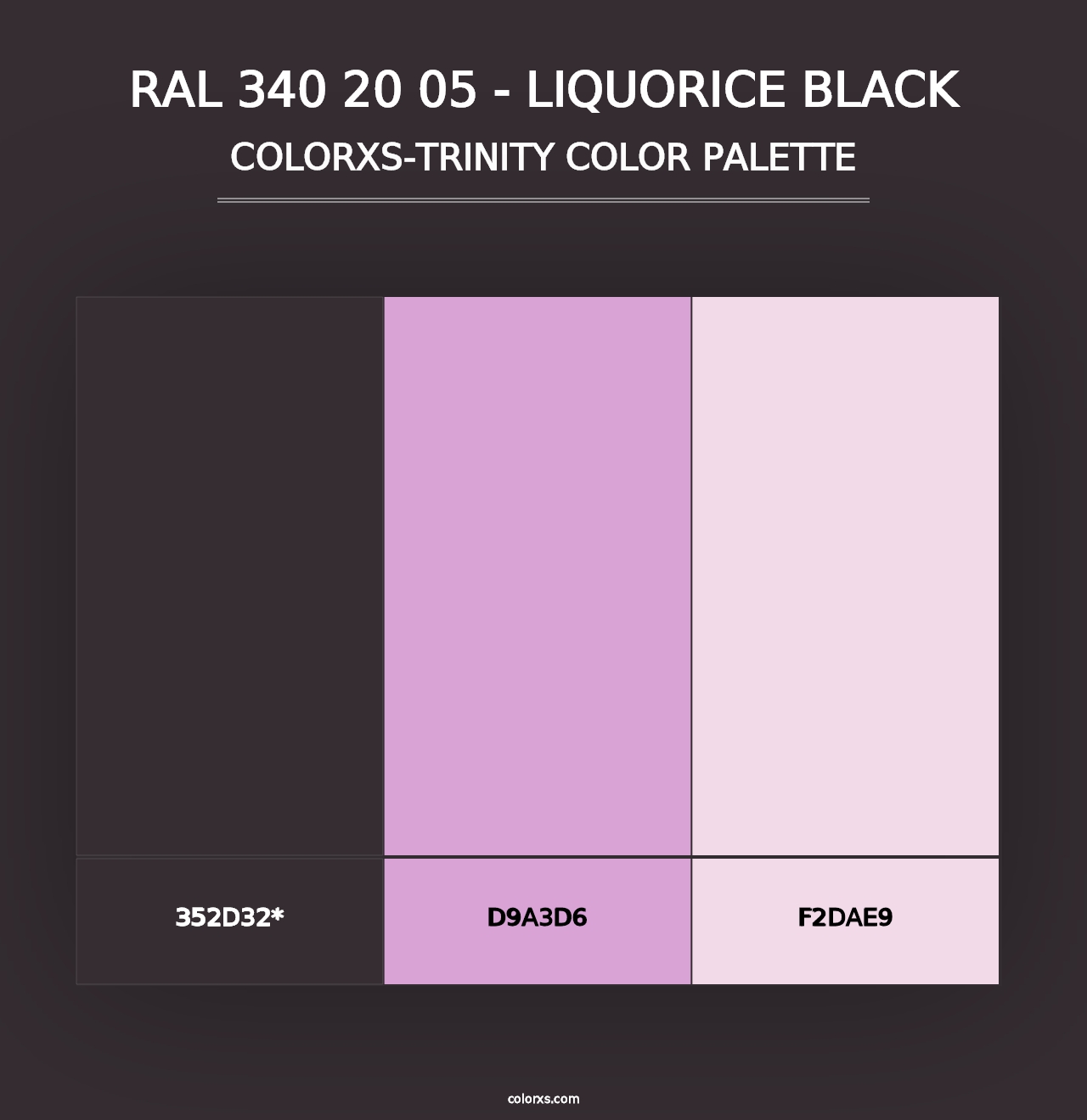 RAL 340 20 05 - Liquorice Black - Colorxs Trinity Palette