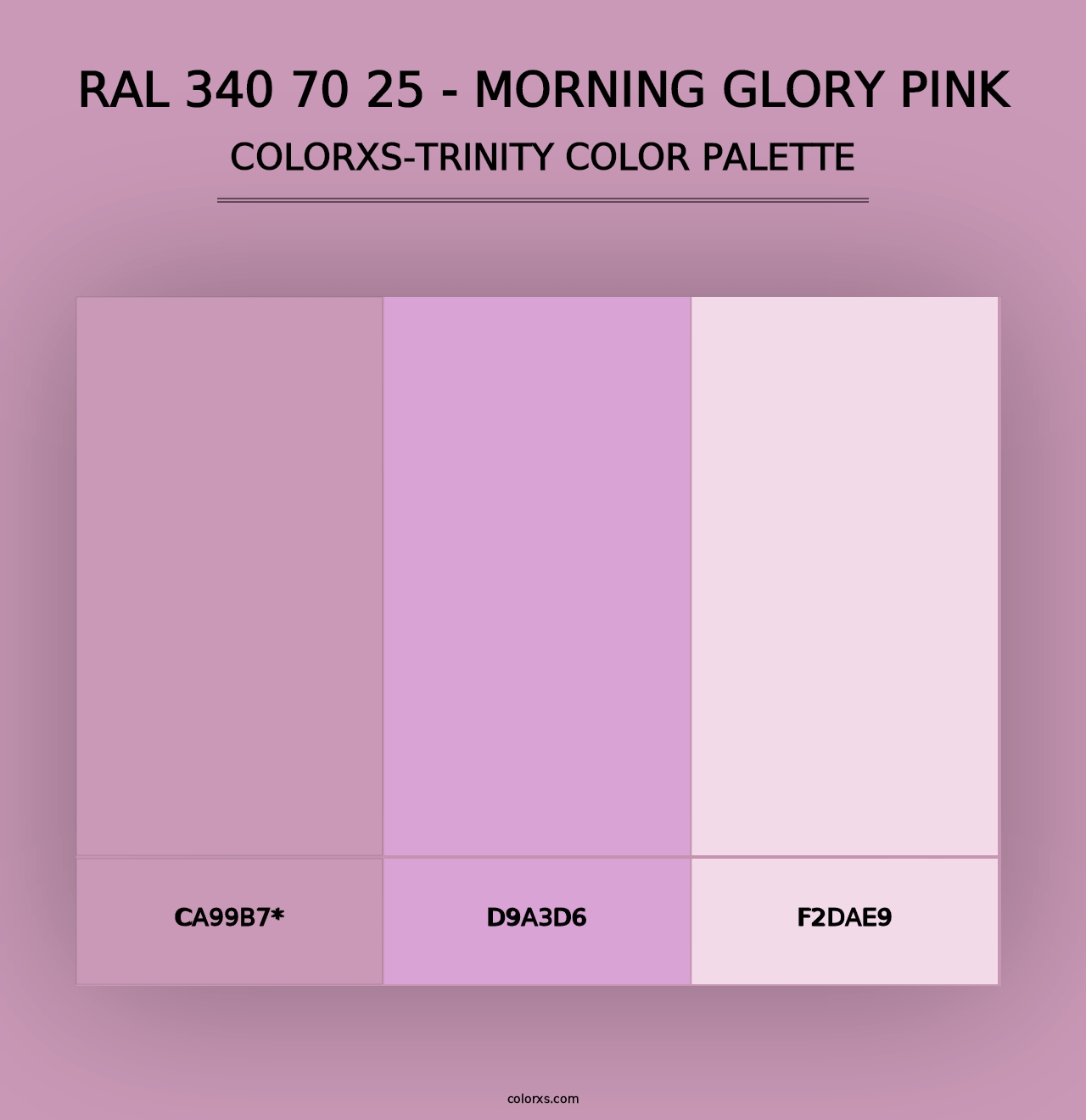 RAL 340 70 25 - Morning Glory Pink - Colorxs Trinity Palette