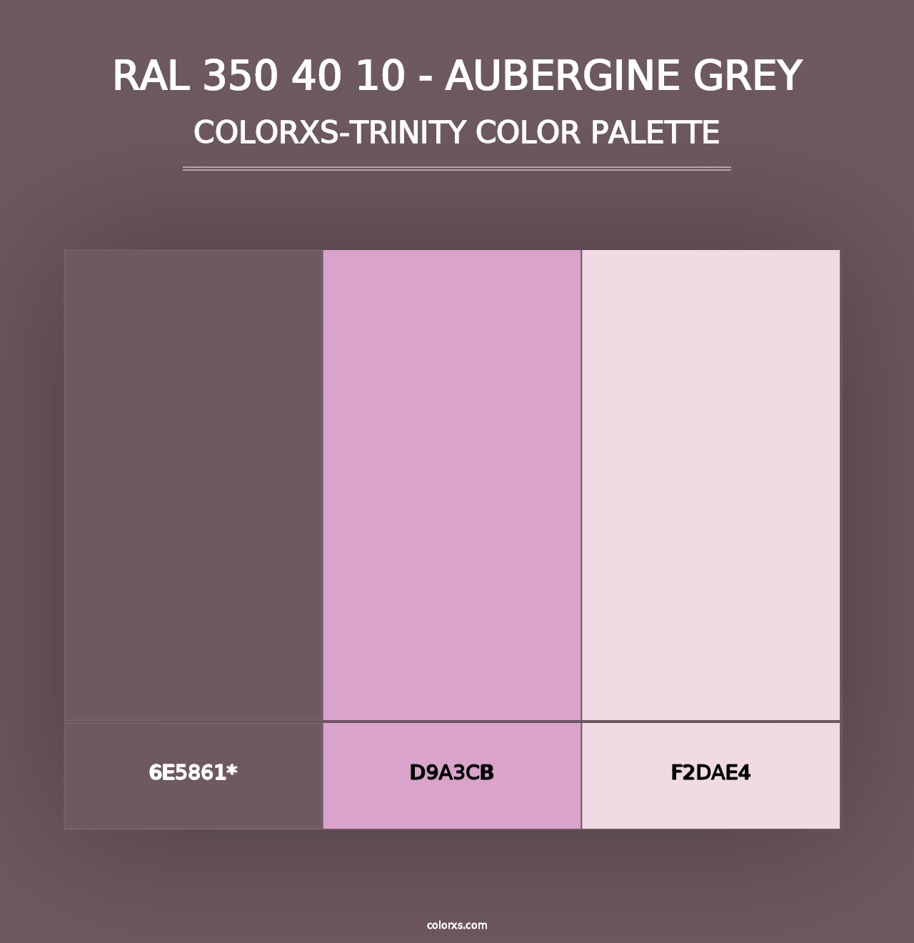 RAL 350 40 10 - Aubergine Grey - Colorxs Trinity Palette