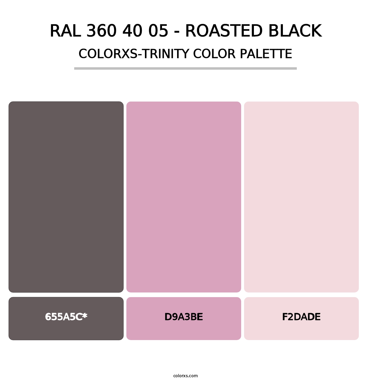 RAL 360 40 05 - Roasted Black - Colorxs Trinity Palette