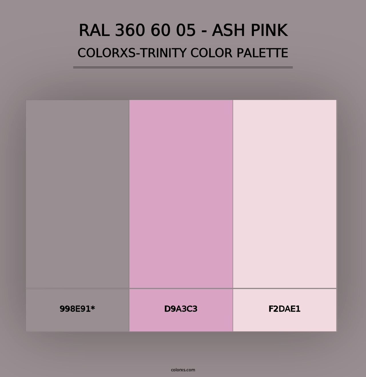 RAL 360 60 05 - Ash Pink - Colorxs Trinity Palette