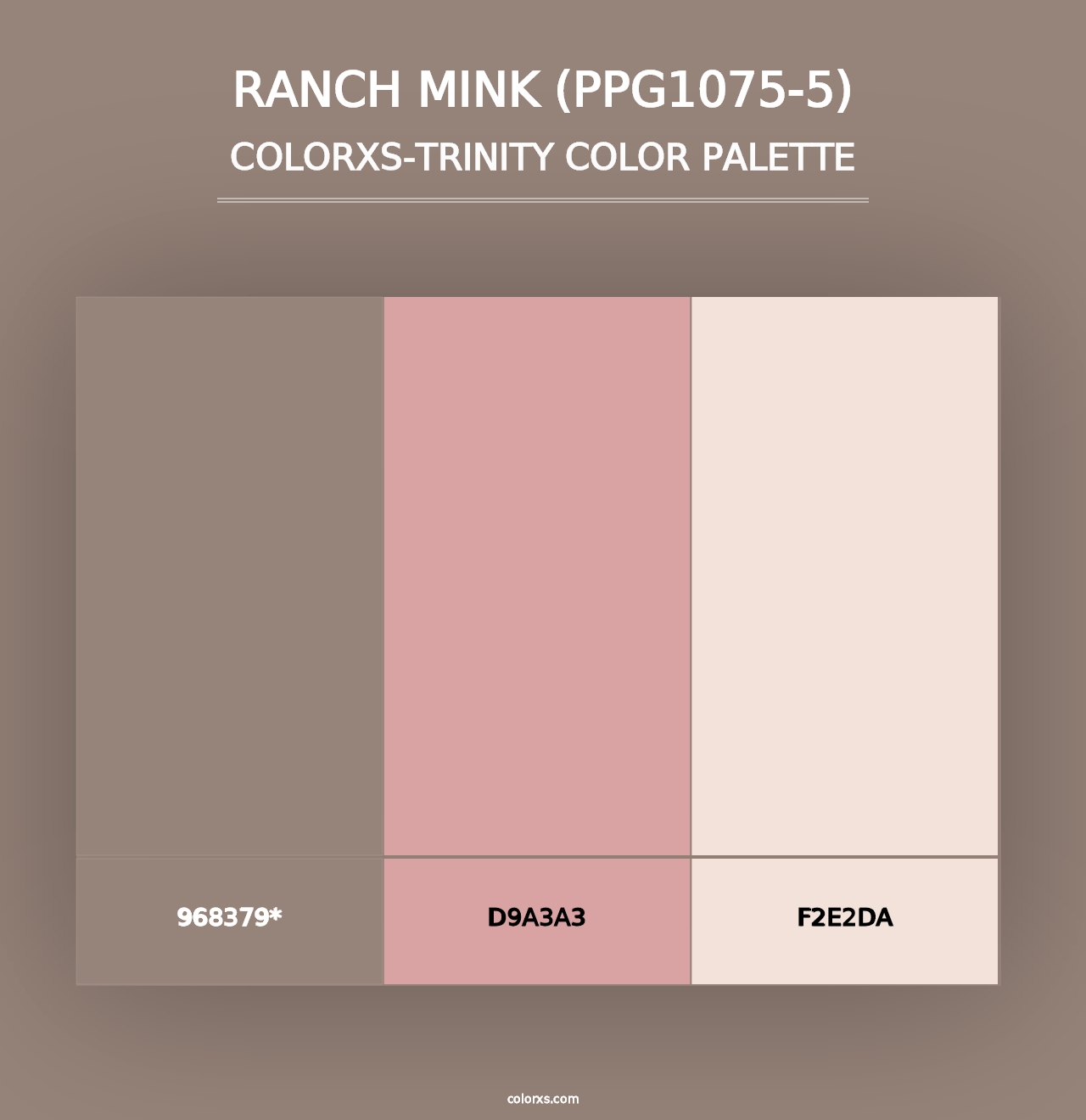 Ranch Mink (PPG1075-5) - Colorxs Trinity Palette