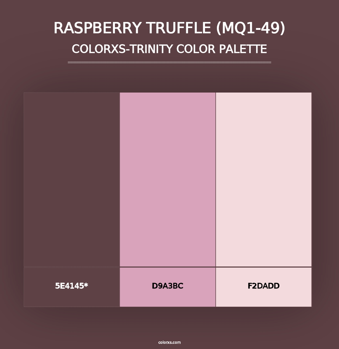 Raspberry Truffle (MQ1-49) - Colorxs Trinity Palette