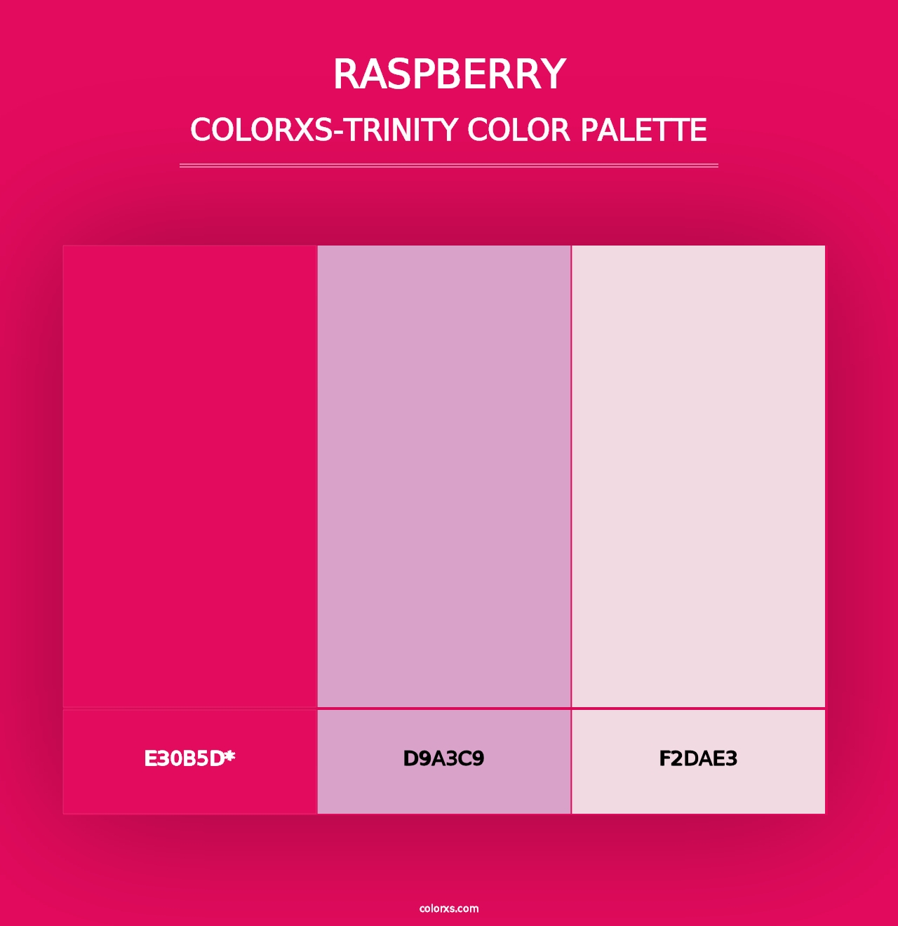 Raspberry - Colorxs Trinity Palette