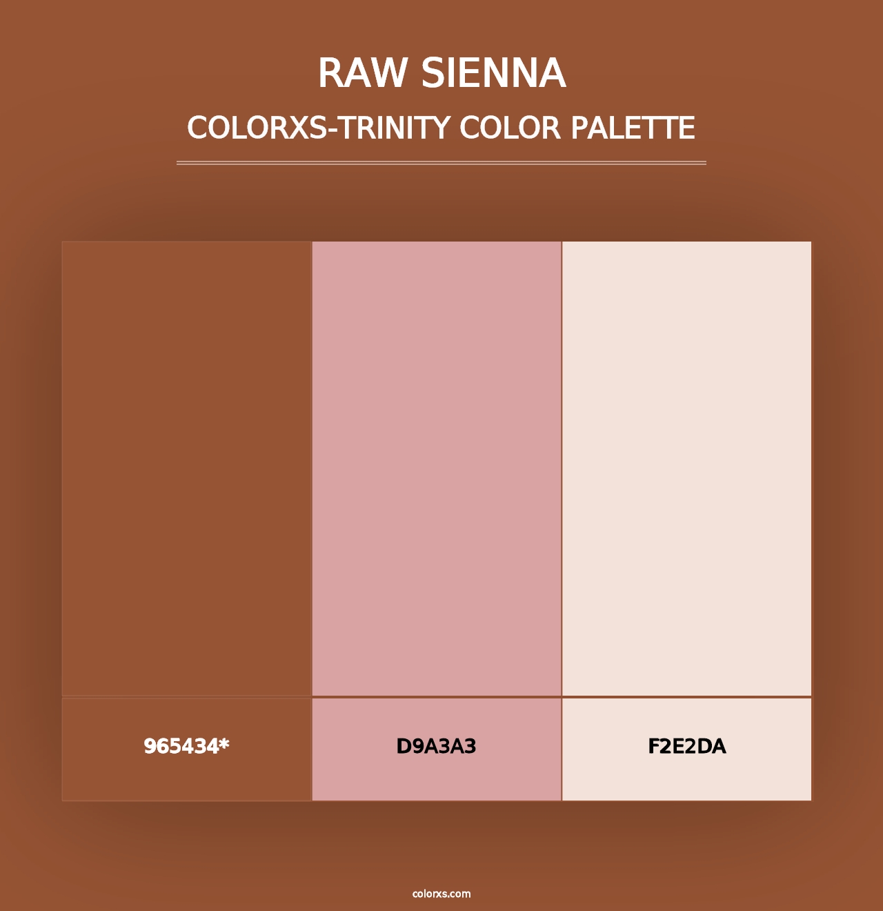 Raw Sienna - Colorxs Trinity Palette