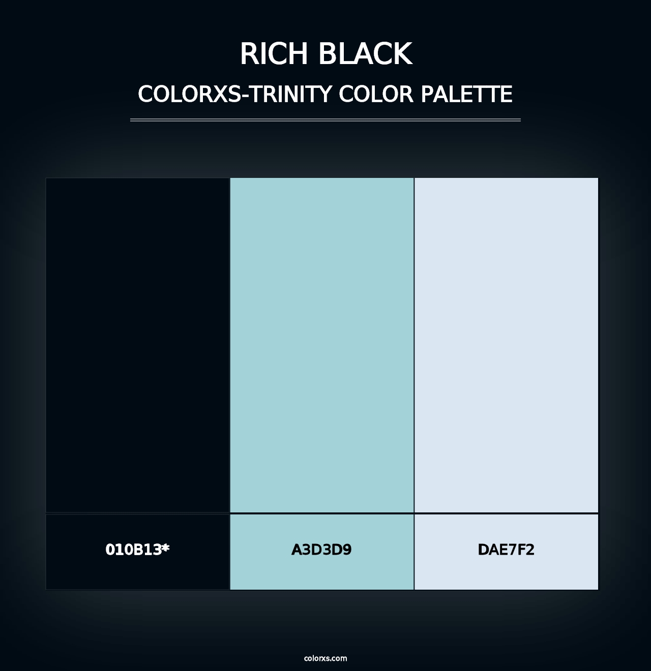 Rich Black - Colorxs Trinity Palette