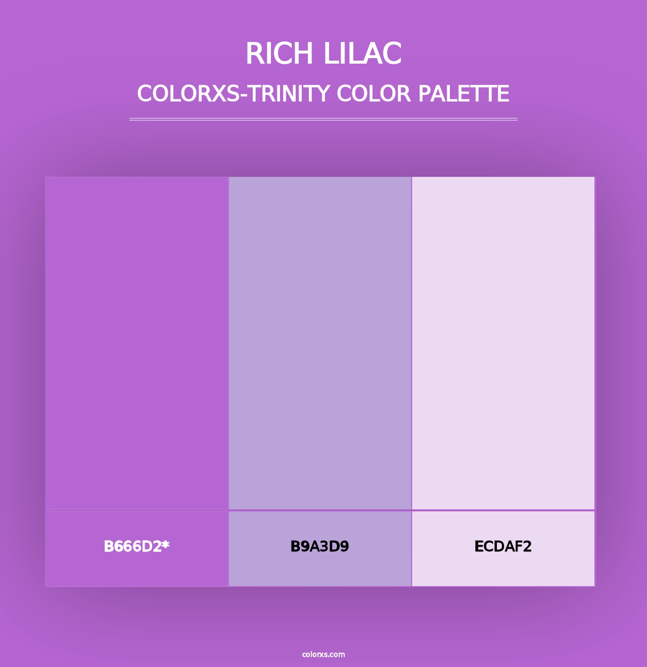 Rich Lilac - Colorxs Trinity Palette