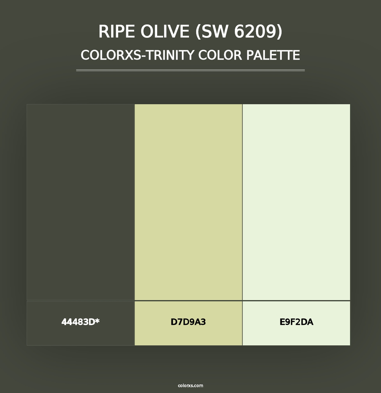 Ripe Olive (SW 6209) - Colorxs Trinity Palette