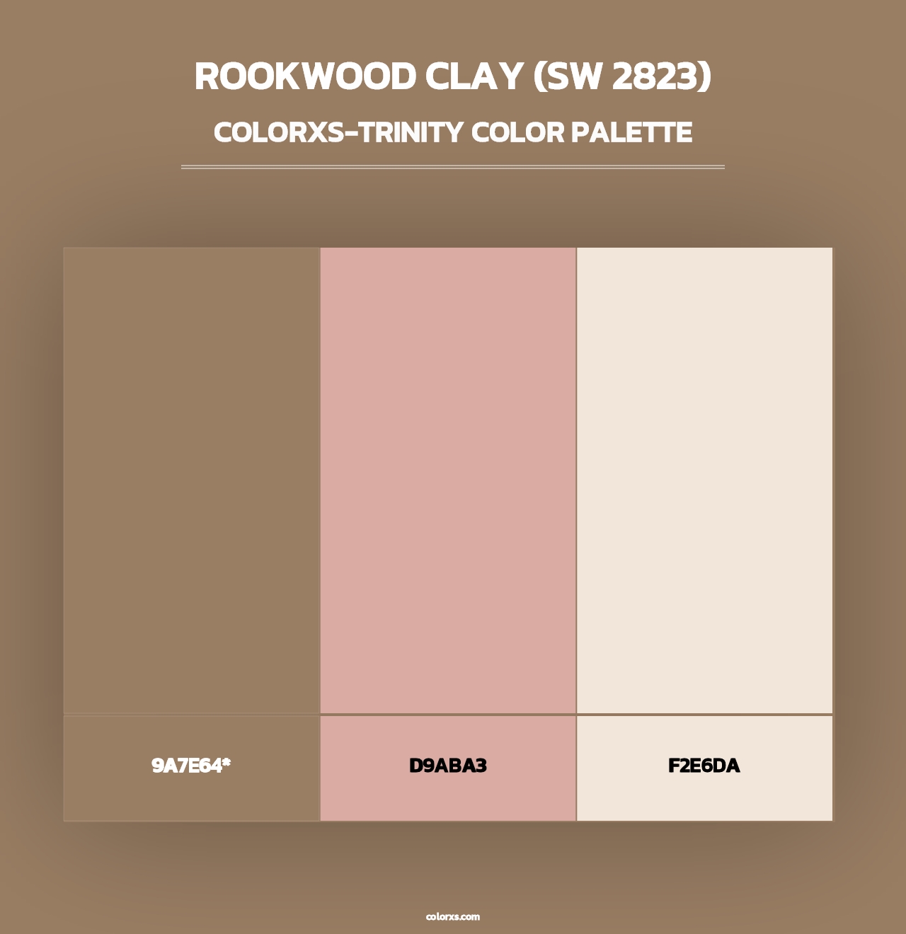 Rookwood Clay (SW 2823) - Colorxs Trinity Palette