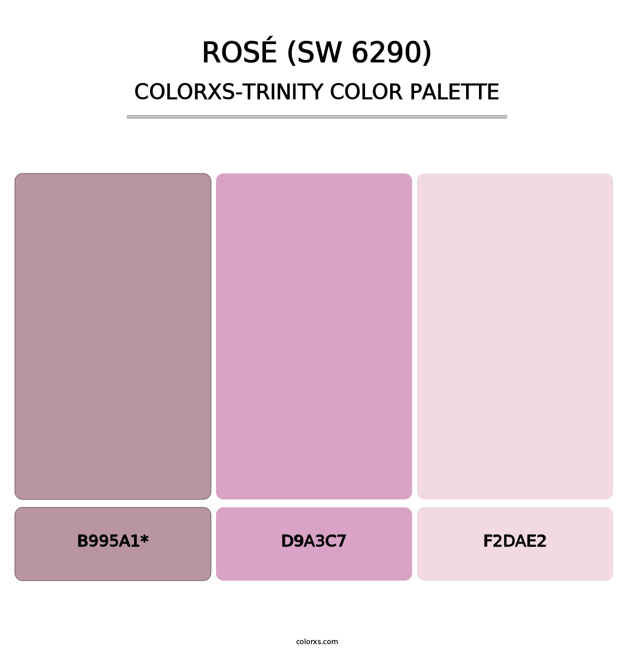 Rosé (SW 6290) - Colorxs Trinity Palette