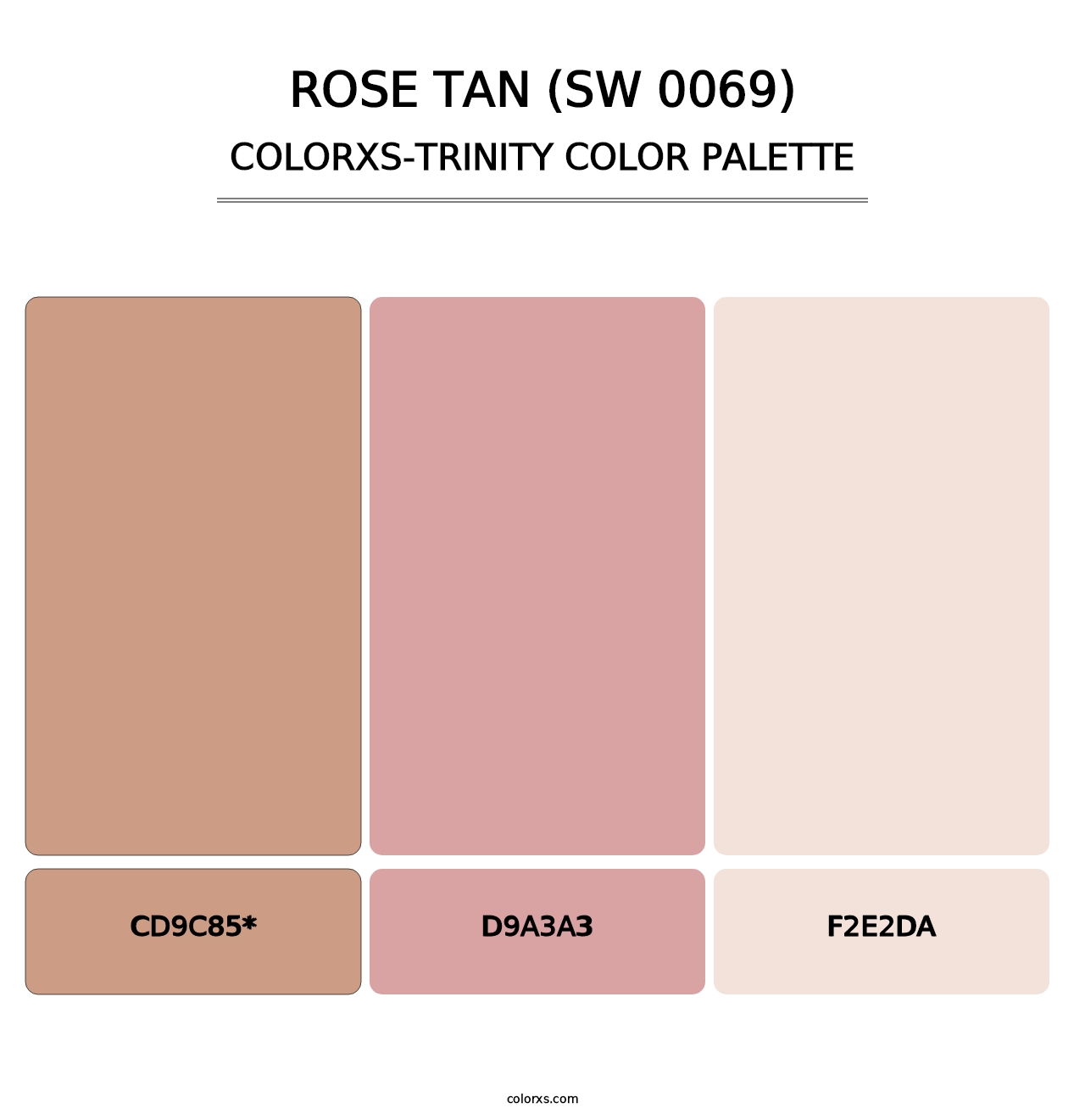 Rose Tan (SW 0069) - Colorxs Trinity Palette