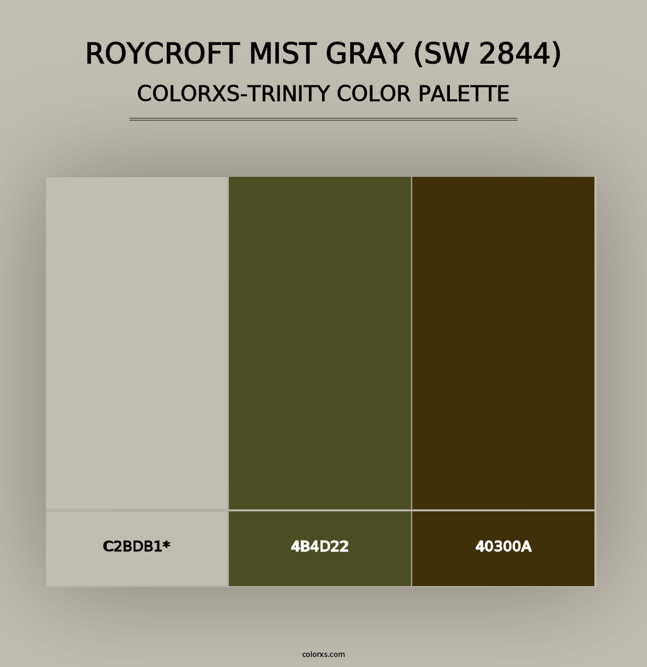 Roycroft Mist Gray (SW 2844) - Colorxs Trinity Palette