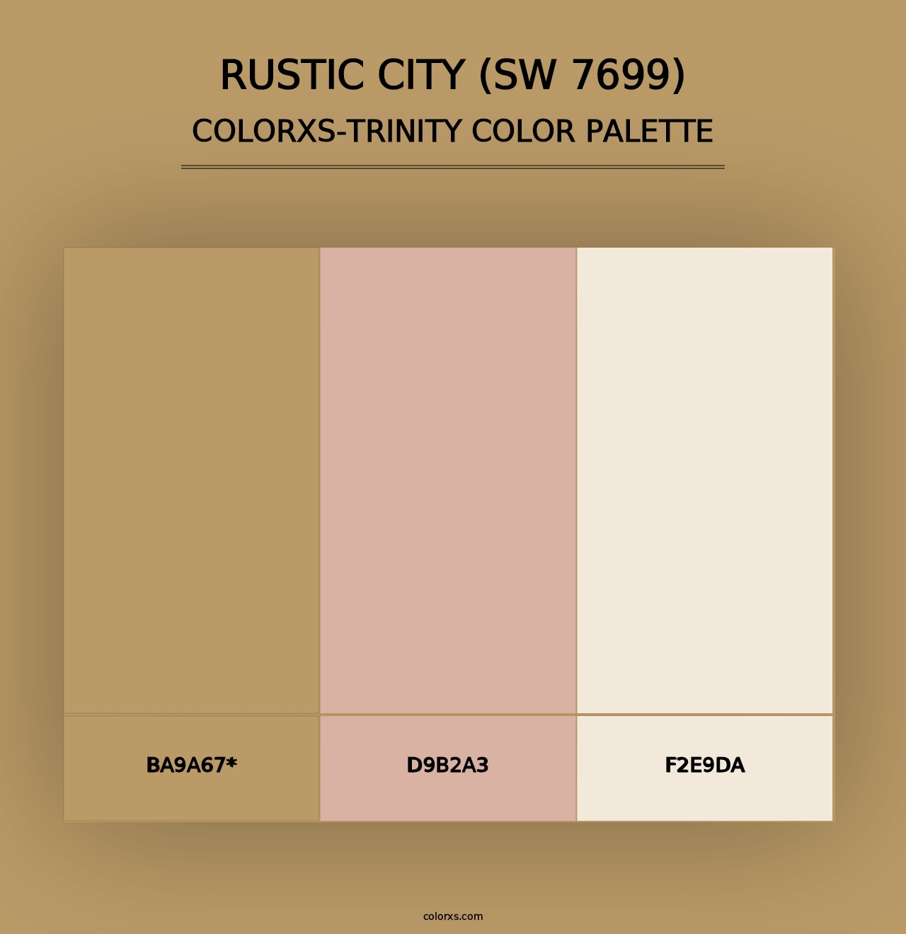 Rustic City (SW 7699) - Colorxs Trinity Palette