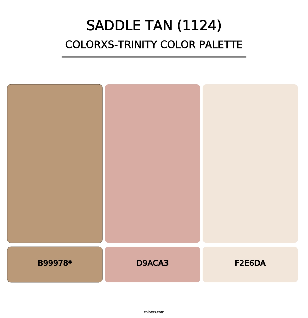 Saddle Tan (1124) - Colorxs Trinity Palette