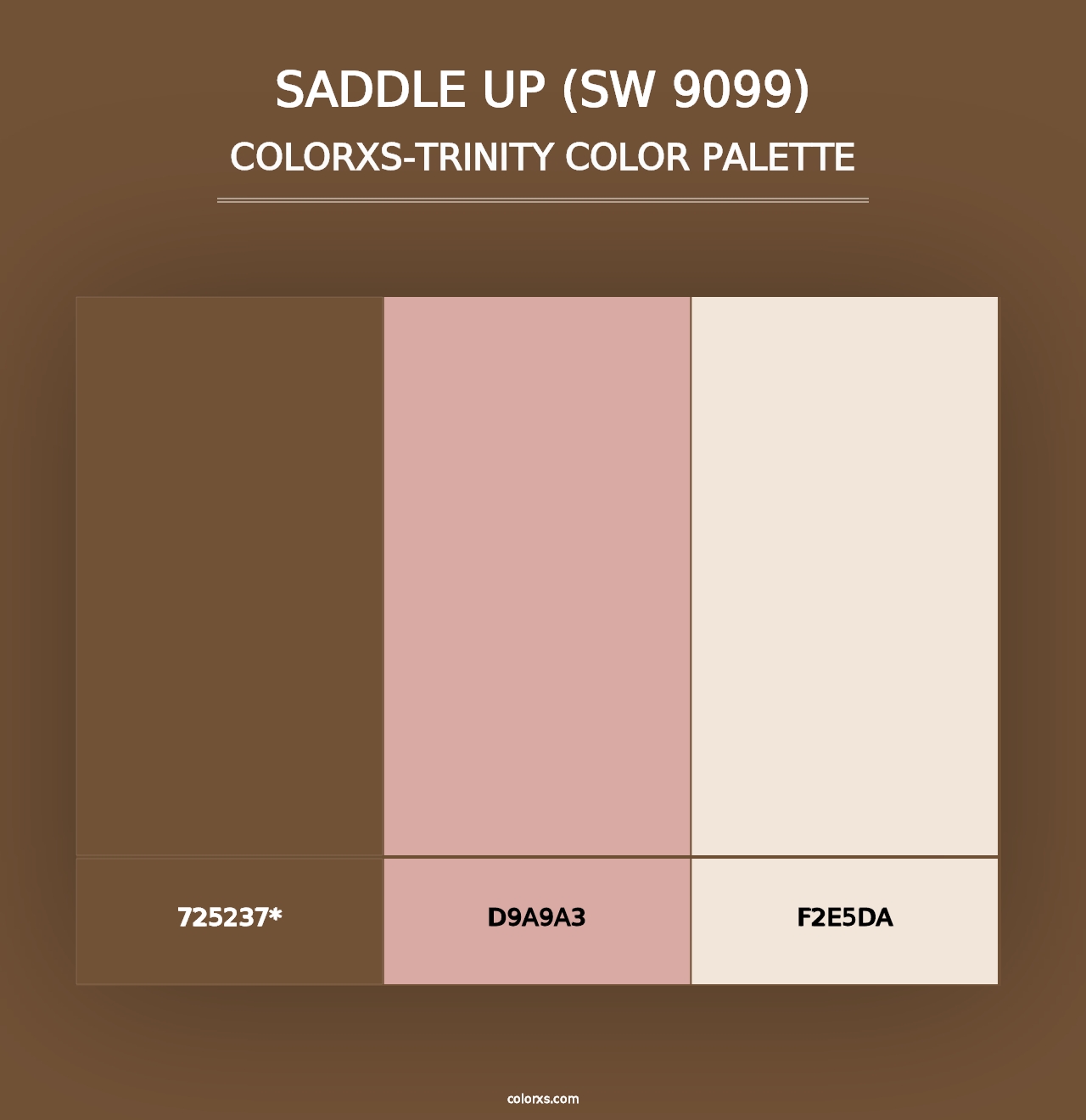 Saddle Up (SW 9099) - Colorxs Trinity Palette