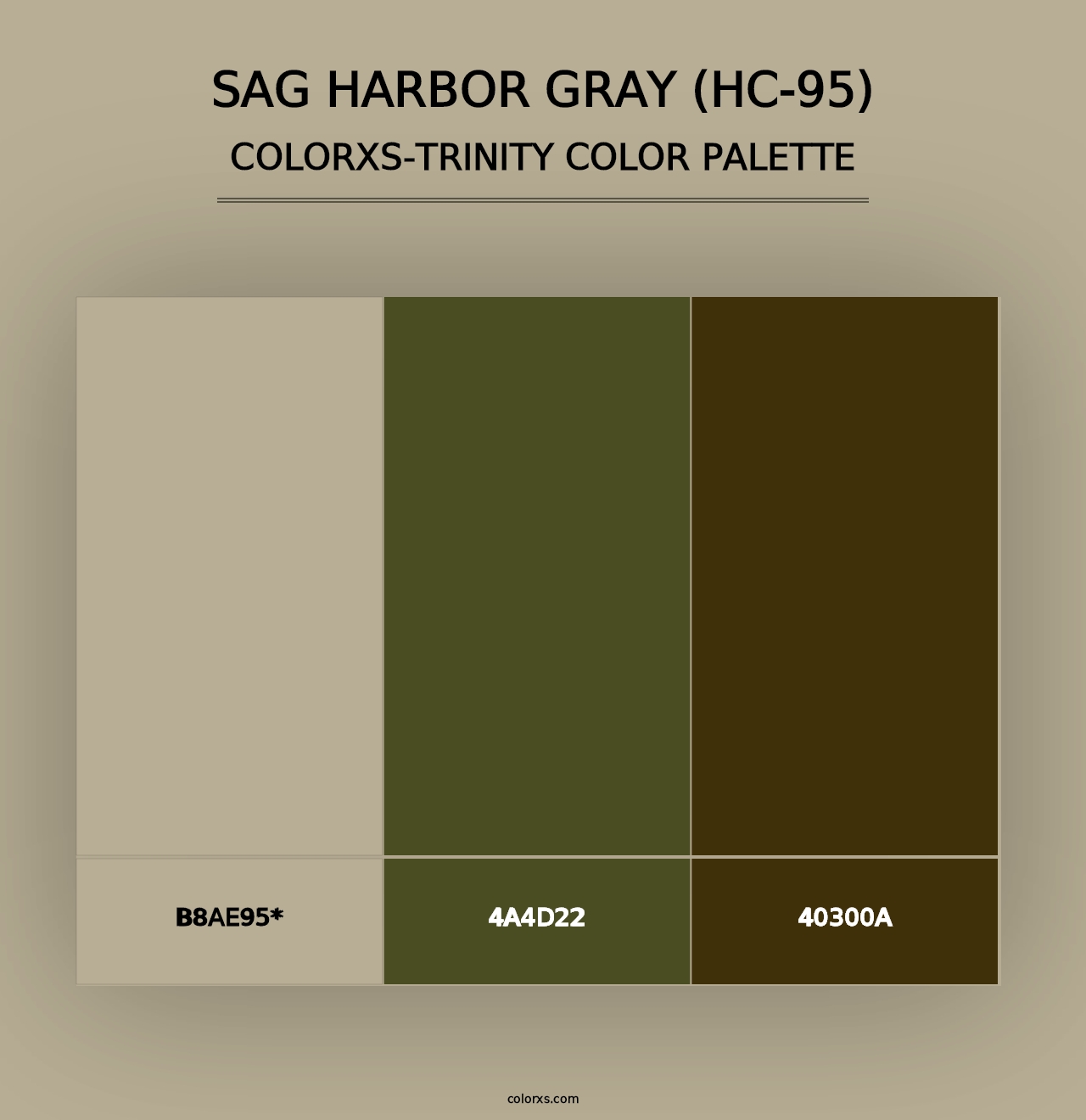 Sag Harbor Gray (HC-95) - Colorxs Trinity Palette