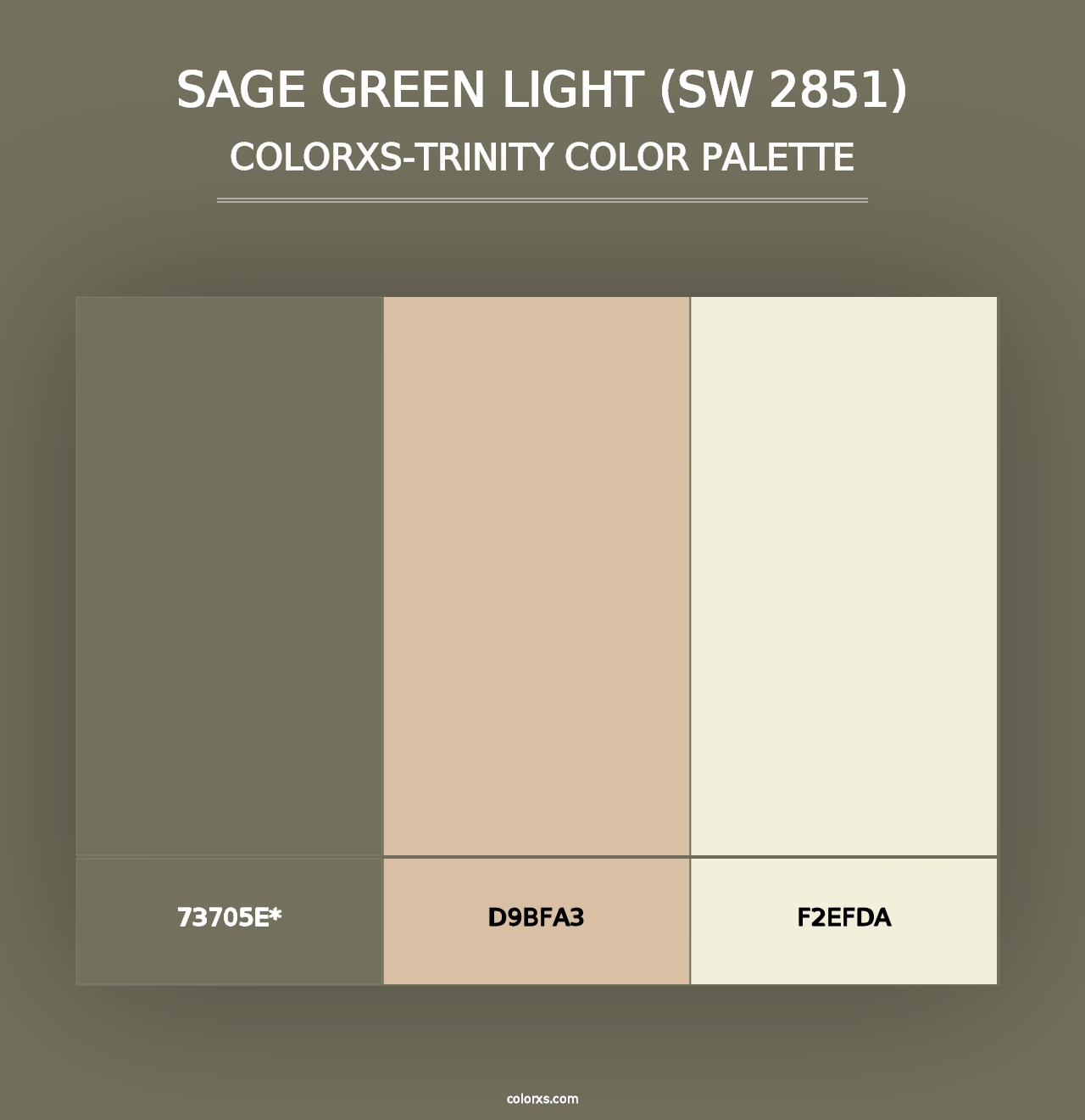 Sage Green Light (SW 2851) - Colorxs Trinity Palette