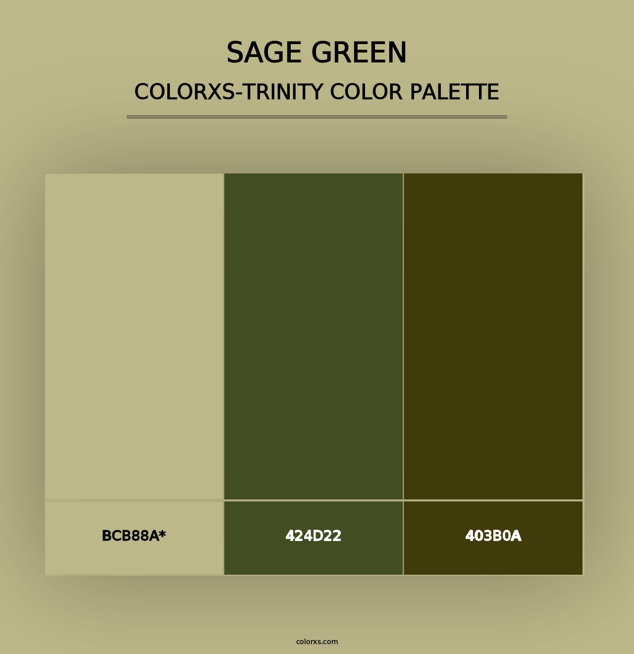 Sage Green - Colorxs Trinity Palette