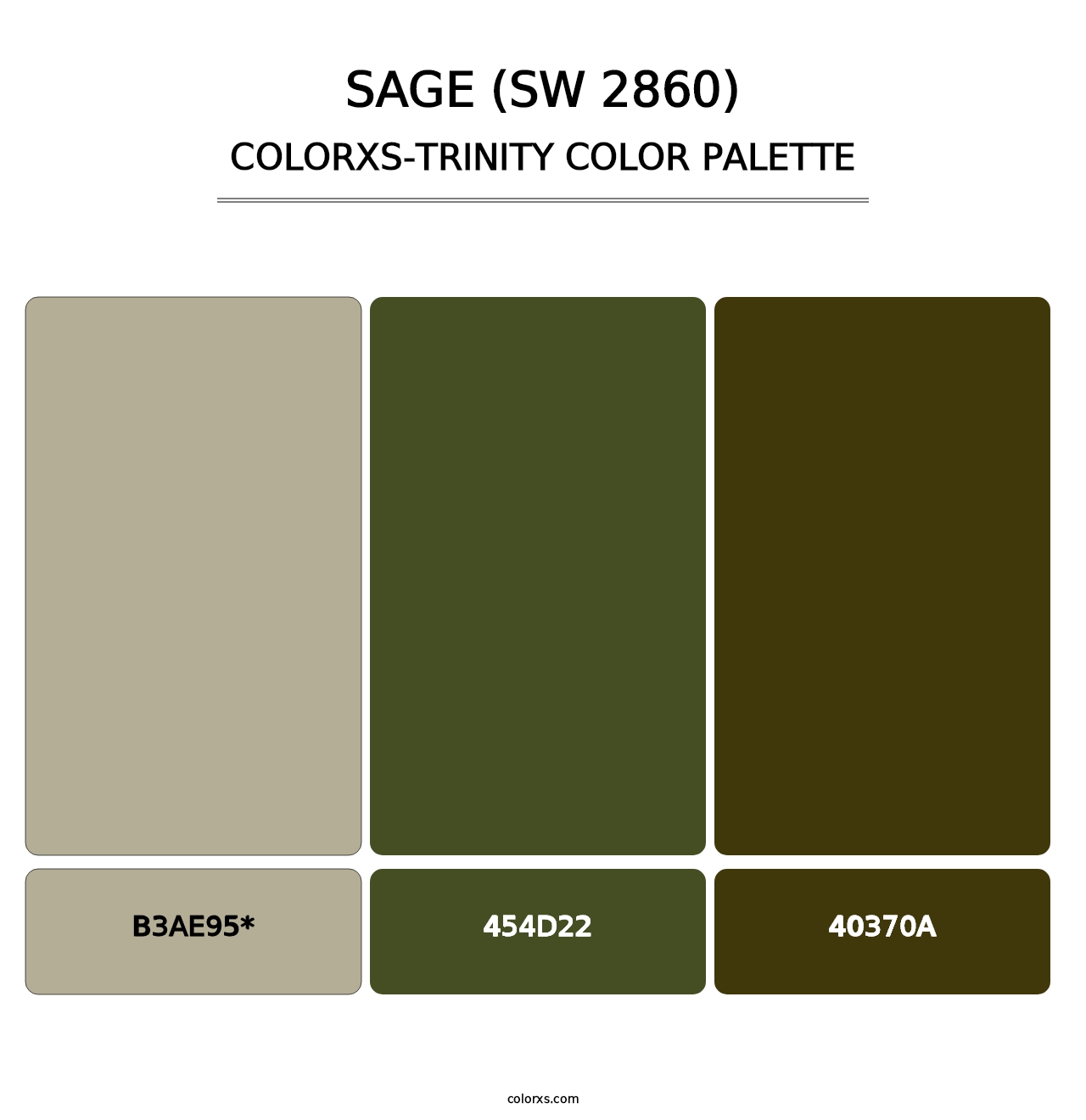 Sage (SW 2860) - Colorxs Trinity Palette