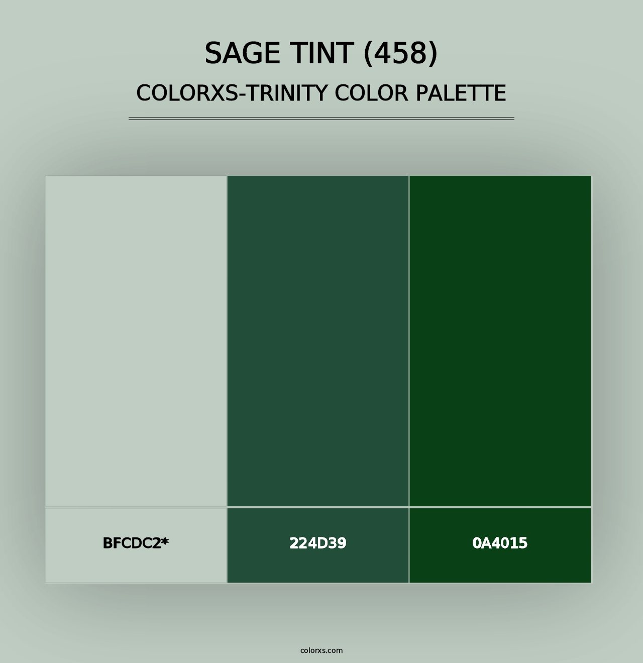 Sage Tint (458) - Colorxs Trinity Palette