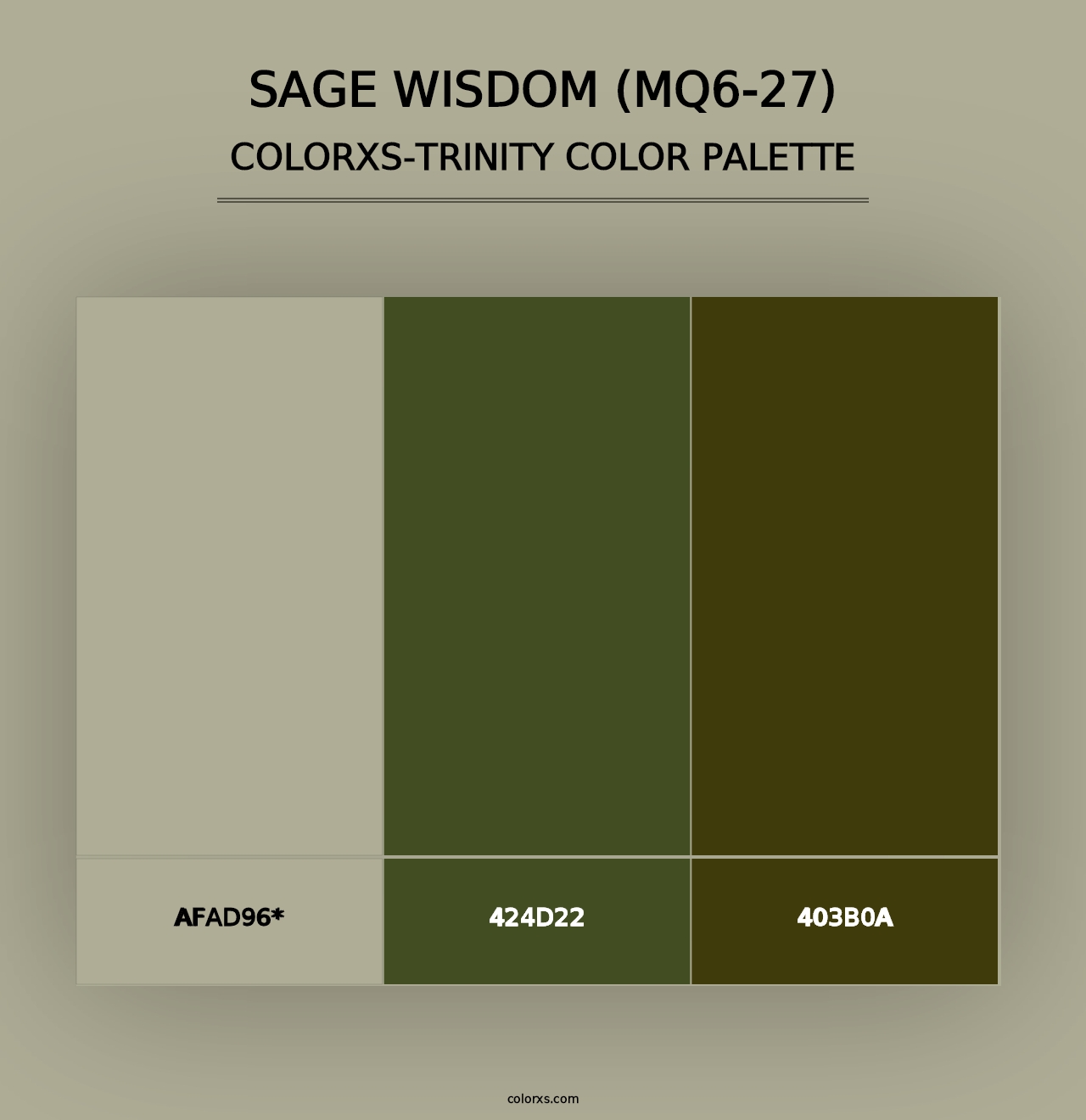 Sage Wisdom (MQ6-27) - Colorxs Trinity Palette