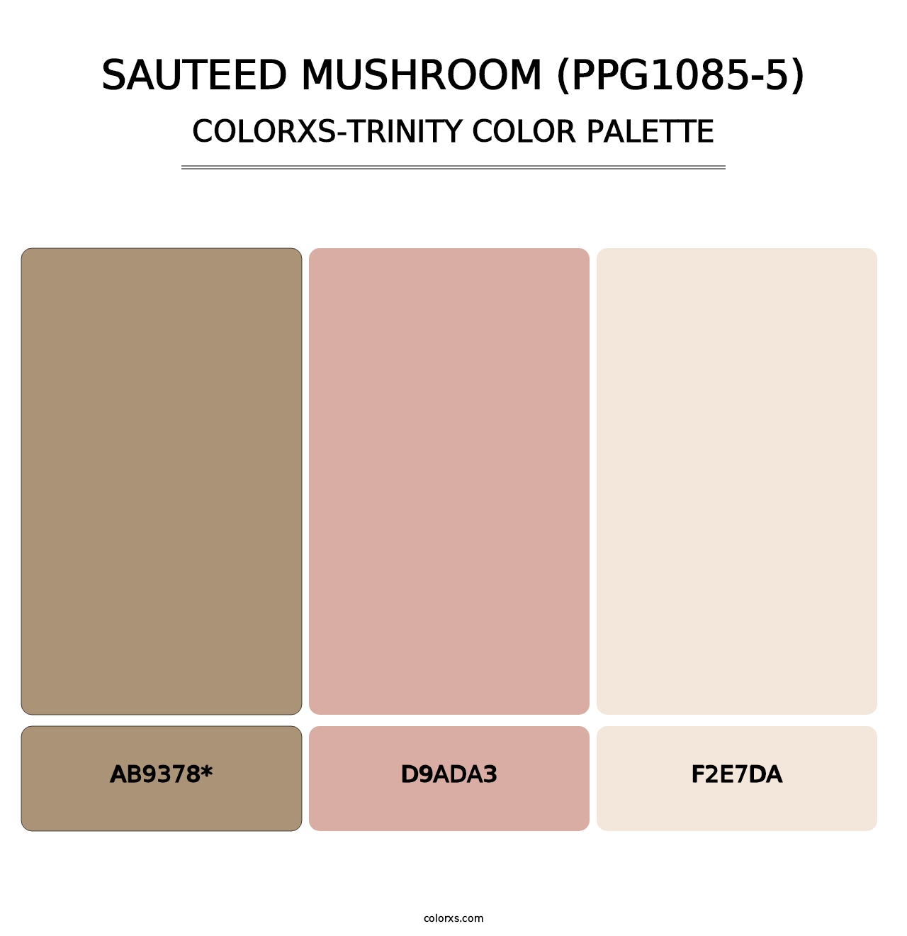 Sauteed Mushroom (PPG1085-5) - Colorxs Trinity Palette