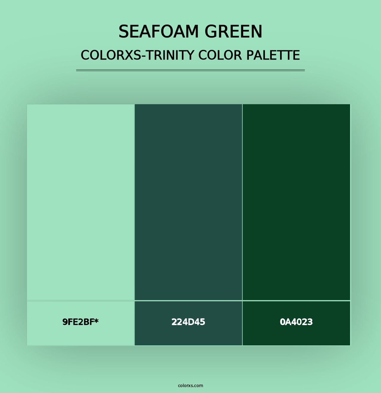 Seafoam Green - Colorxs Trinity Palette