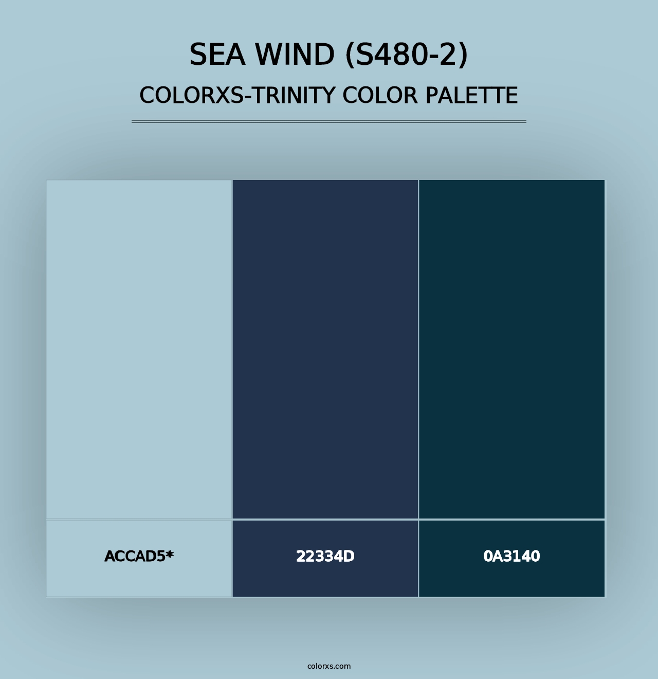 Sea Wind (S480-2) - Colorxs Trinity Palette