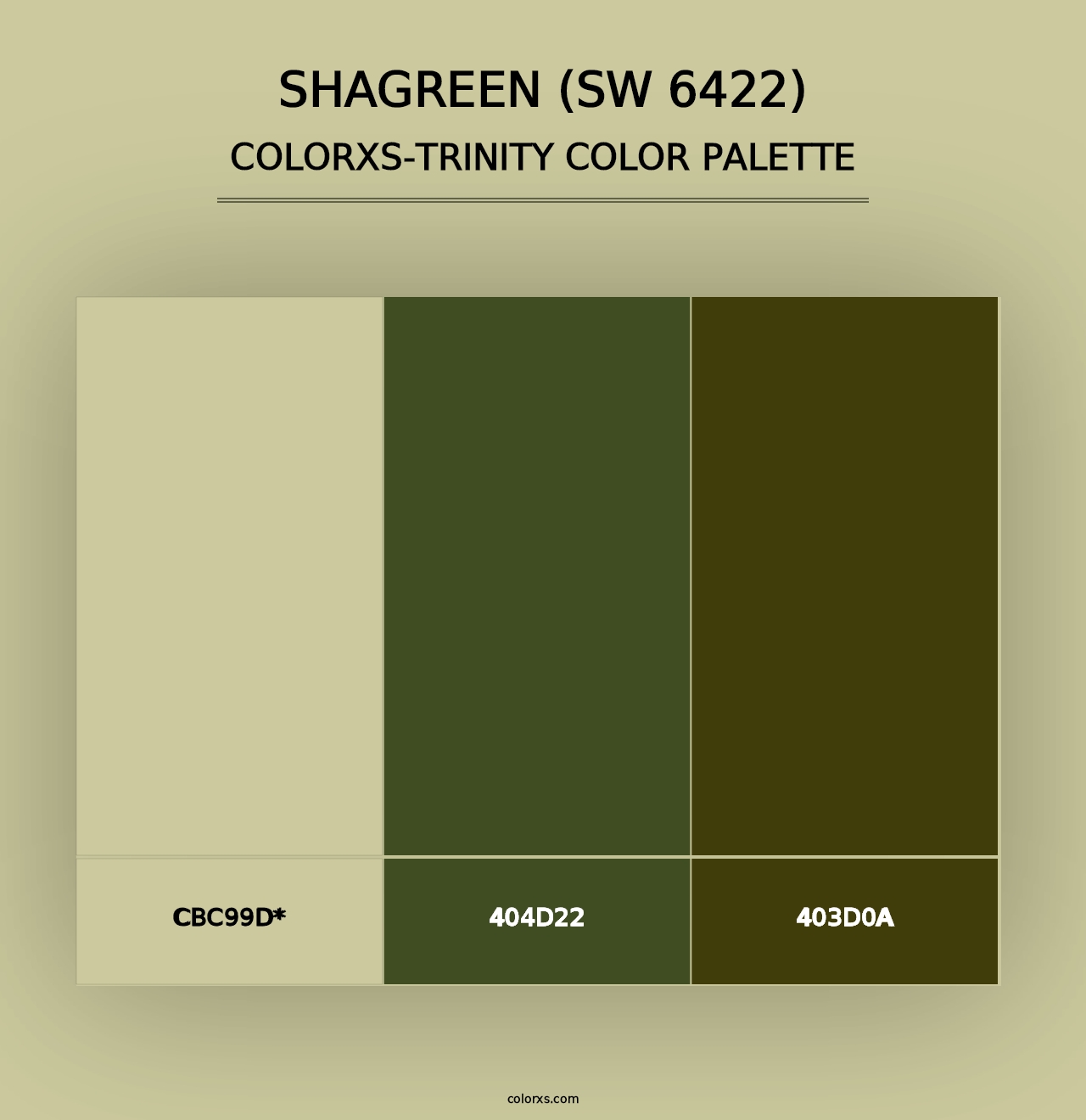 Shagreen (SW 6422) - Colorxs Trinity Palette