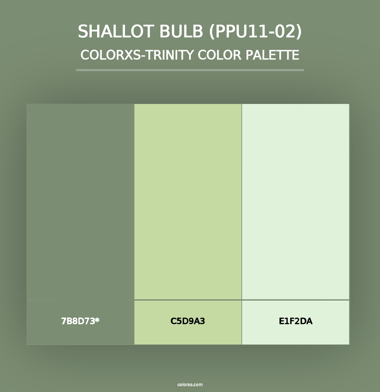 Shallot Bulb (PPU11-02) - Colorxs Trinity Palette