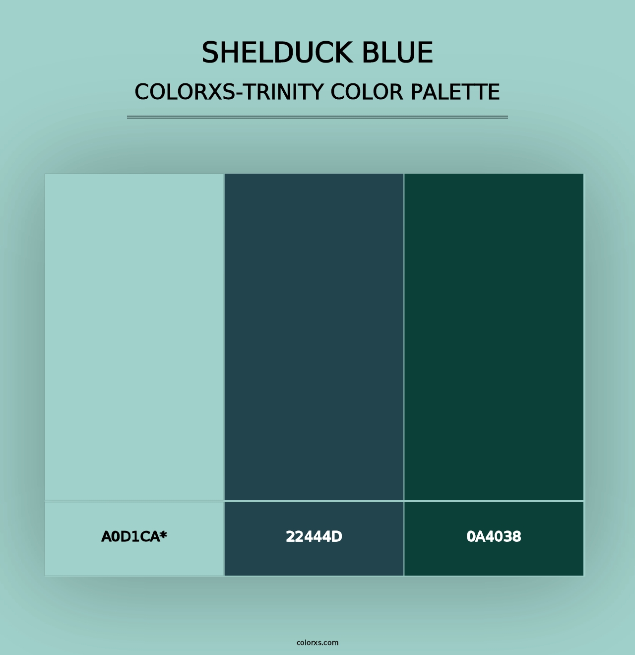 Shelduck Blue - Colorxs Trinity Palette