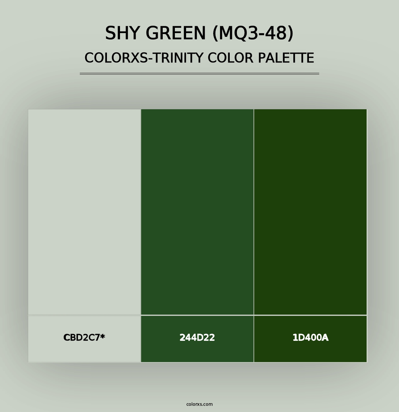 Shy Green (MQ3-48) - Colorxs Trinity Palette