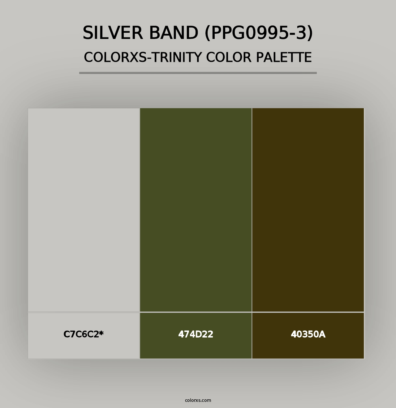 Silver Band (PPG0995-3) - Colorxs Trinity Palette