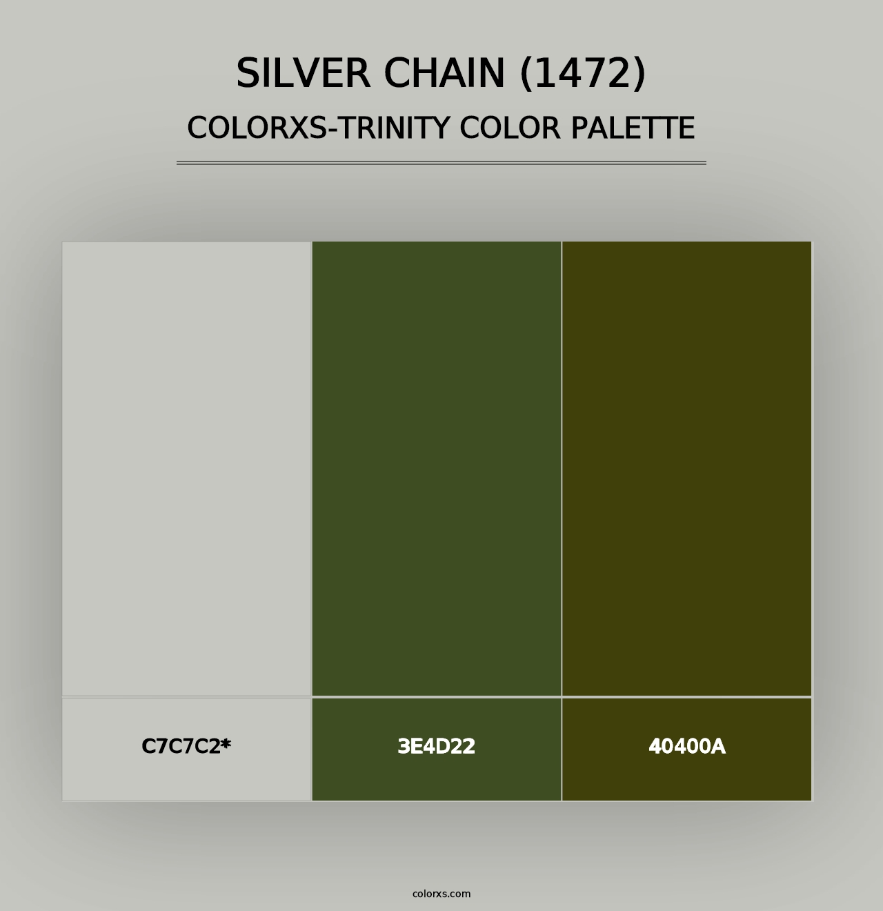 Silver Chain (1472) - Colorxs Trinity Palette