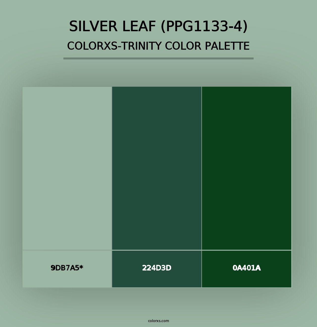 Silver Leaf (PPG1133-4) - Colorxs Trinity Palette